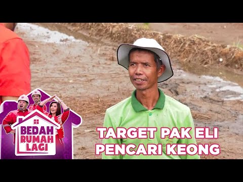 Target Pak Eli Seorang Pencari Keong Sawah - Bedah Rumah Lagi