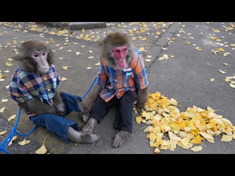 Crackhead Fights and Little Caesars