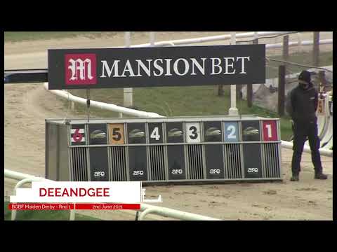 Deeandgee - BGBF British Bred Maiden Derby - Heat 1