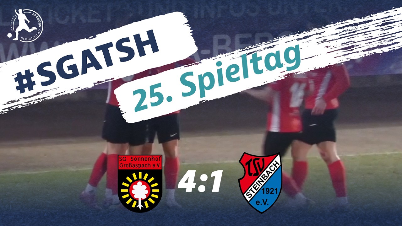 SG Sonnenhof Großaspach vs TSV Steinbach Haiger Highlights