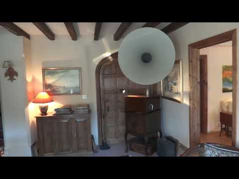 "Kansas City Kitty". The Cotton Pickers.