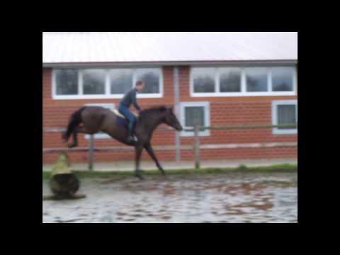 Michelangelo / Narew xx / Grannus