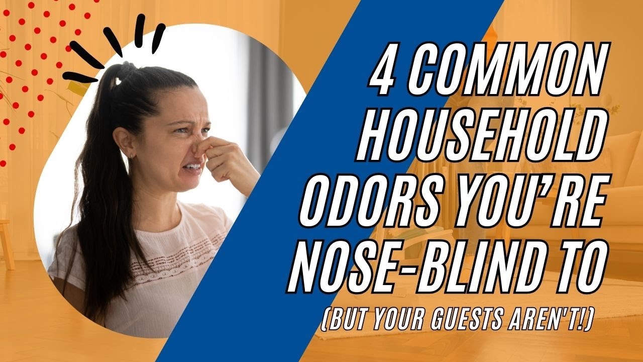 4 Common HOUSEHOLD ODORS You’re NOSE-BLIND To (But Your Guests Aren't!)