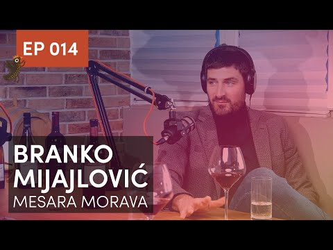 Kako prepoznati kvalitetno meso i najbolje ga pripremiti🥩 - Branko Mijajlović, mesara Morava, EP 014
