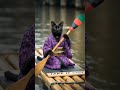 Take It Easy Bambooart Functional Art Madlion DreamScreenAI