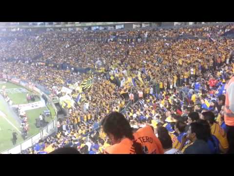 "Tigres va caminando pal gallinero" Barra: Libres y Lokos &bull; Club: Tigres