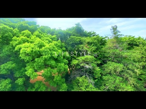 Lifestyle at San Reno | deltaTV