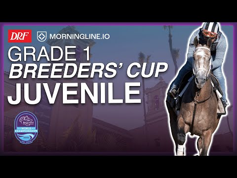 DRF Friday Race of the Day | Grade 1 Breeders' Cup Juvenile | October 31, 2025