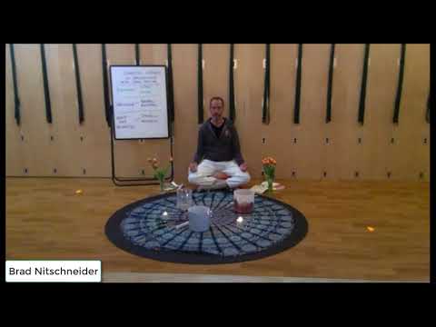 Brad Nitschneider - Somatic Meditation - Session 1 - 3/18
