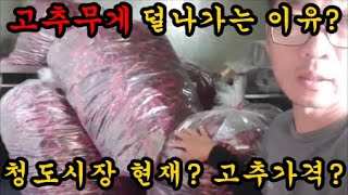 건고추가 올해 무게가 많이 나가지 않는이유와 건고추가격