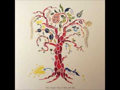 Janek Schaefer & The Argonauts - The Tree At The End Of The World