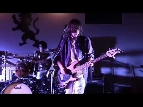 The Proles  - Rockin' in the Free World