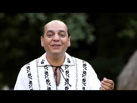 Dorel Savu   La Sibiu, pe măgură HD