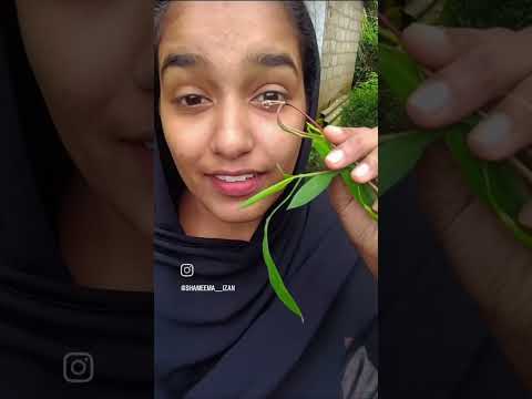 natural eye spa#shorts#fyp#viral