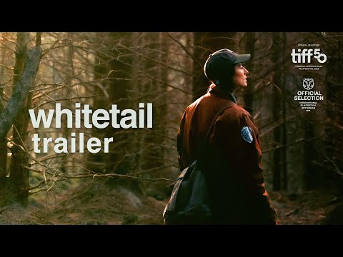 Whitetail