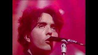 Icicle Works - Love Is a Wonderful Colour (TOTP 1984)