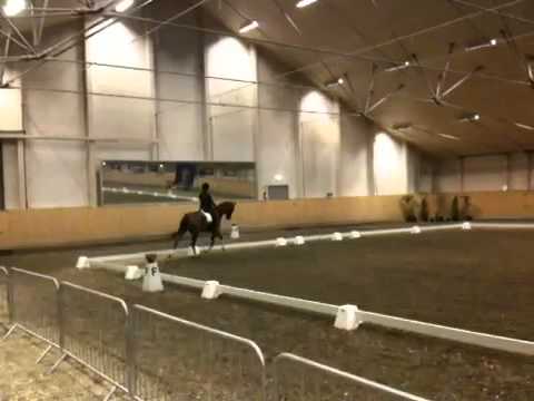 Sir Price går Breeders