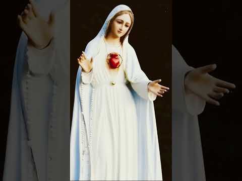 Sagrado coração de Maria 💕 #fe #jesusteama