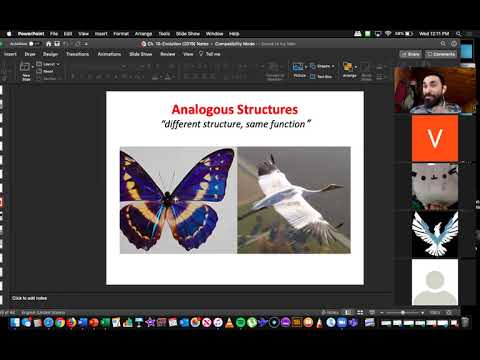 Honors Biology Zoom Class on 5:20:2020