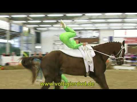 DVP 2014   Abteilung 3   10   Team Kodex