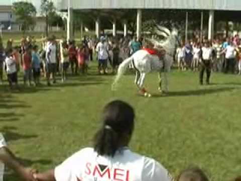 w22sports - C. E. Eldorado - Chegada do Papai Noel - São José do  Rio Preto 19dez2009