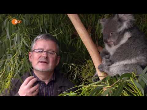 Terra X Australien Saga Teil 1