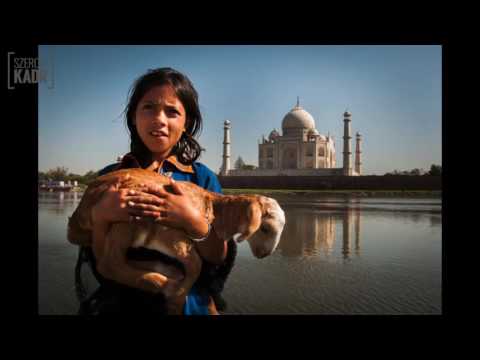 Fotograf miesiąca - Tomasz Gładys