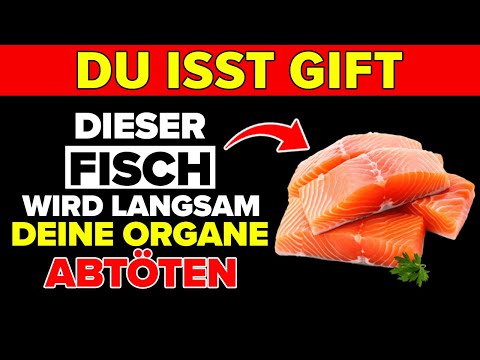 4 Fischsorten, die Sie UNBEDINGT essen sollten – und 4, die Sie besser NIE anfassen