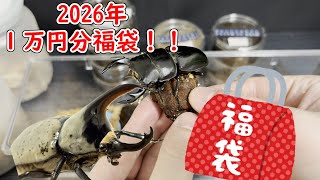 [2026年！]カブトムシクワガタ[1万円分福袋！]