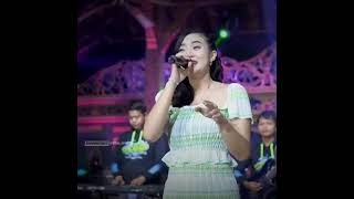 Download lagu story wa 30 detik || story wa dangdut koplo || story wa kekinian mp3