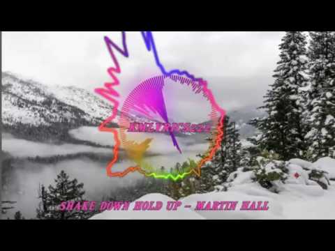 Shake Down Hold Up  By  Martin Hall-[2010s Pop Music]
