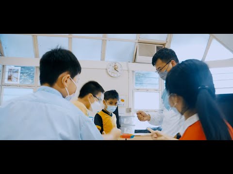 大埔浸信會社會服務處 康復服務