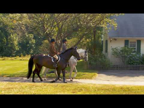 46 Springdale Ave Dover, Massachusetts