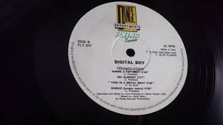 Digital Boy - Logik