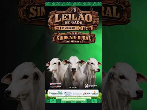 LEILÃO GADO DE CORTE - SINDICATO RURAL DE MINAÇU GO - 01/09/2026