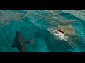 The Shallows - Shark thriller starring Blake Lively