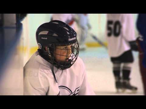 zakladnahokejovychmistru.cz