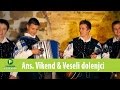 Ansambel Vikend & Veseli Dolenjci - Če muzikanta imela boš za fanta, Uradna verzija (Official video)