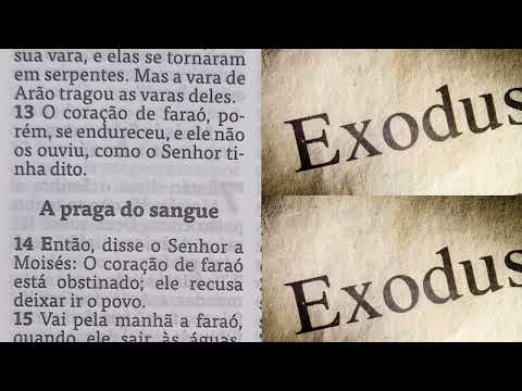 DEUS ENCORAJA MOISÉS A  FALAR COM FARAÓ As pragas