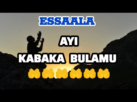 ESSAALA:  AYI KABAKA BULAMU