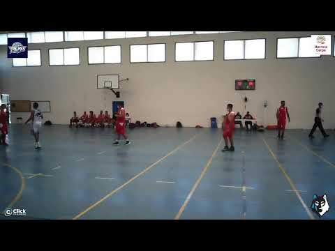 SENIOR MASCULINO : CB 7 Palmas -  CB Telde