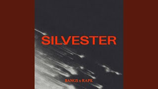 Silvester Music Video