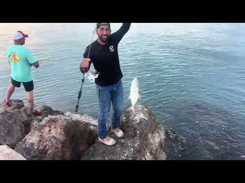 Villa del Carmen fishing club Ponce pr 1/abril/2025 🐟🎣🐟🎣🐟  00716