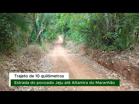 Estrada do povoado Jeju à Altamira do Maranhão - um trajeto de 10 km