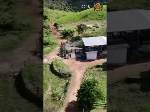 Fazenda à Venda em Santa Rita de Jacutinga - Minas Gerais #shorts #fazenda #agronegócio