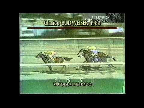 Verset Dancer - Budweiser Handicap 1983