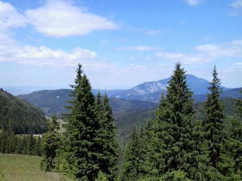 Poiana Cerbului - Gura Diham - Cabana Diham