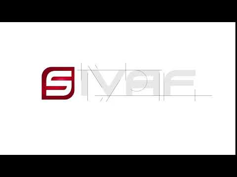 Video Image
