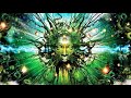 Psychedelic Deep Trance & Psychill Music Mix