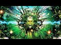 Psychedelic Deep Trance Psychill Music Mix
